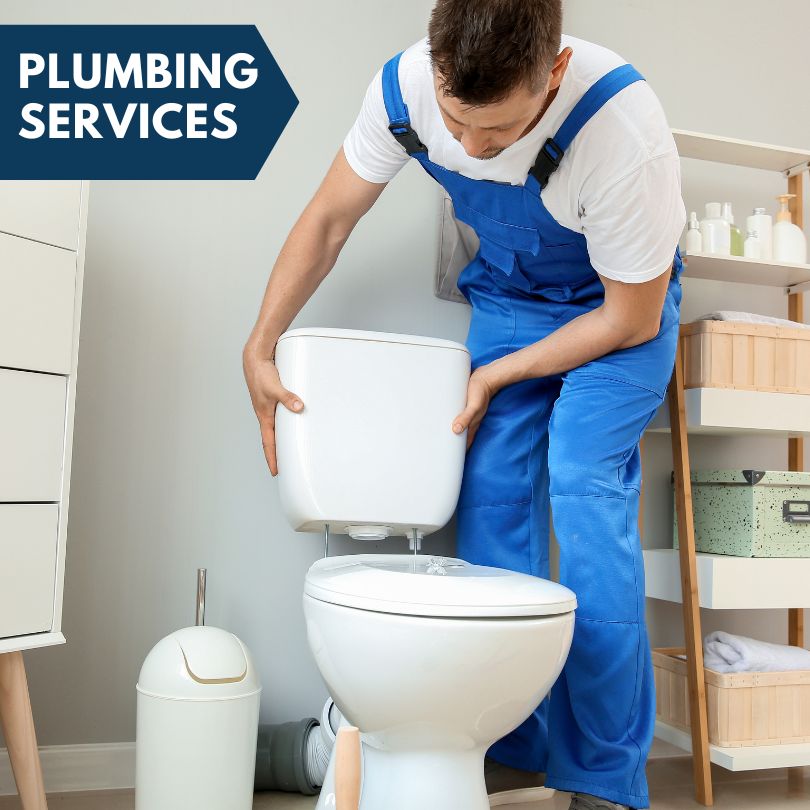 Plumbing Company in Grand Ridge, IL